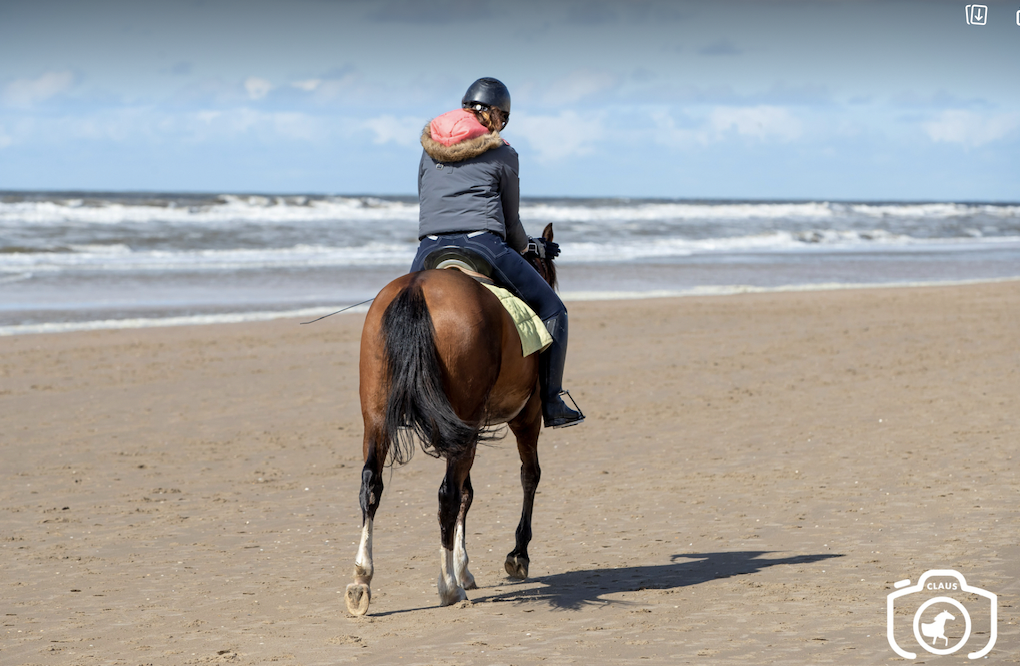 Paardrijden op het strand: waar en wanneer mag het?