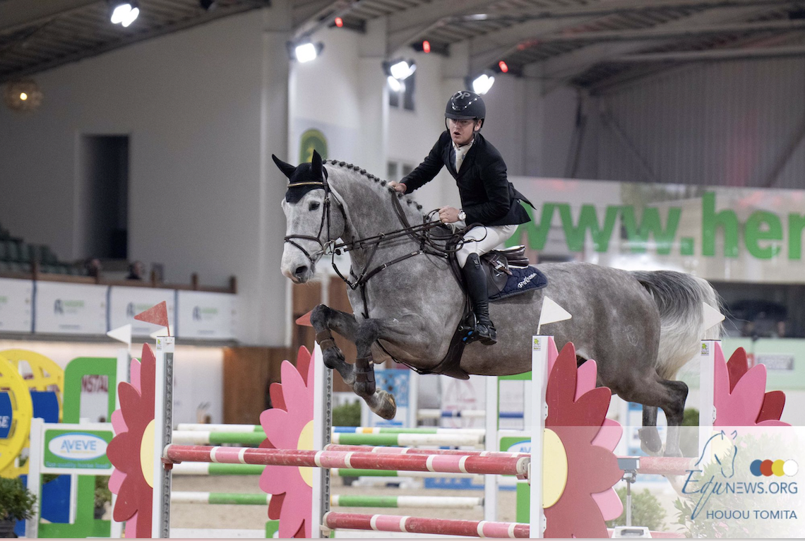 Belgian Stallion Competition: Pieter Kenis wint met Commander Bond bij de zesjarige hengsten