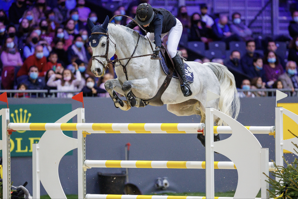 Hoe moet jouw evenwicht houden op een paard met een grote en krachtige - Equnews Belgium