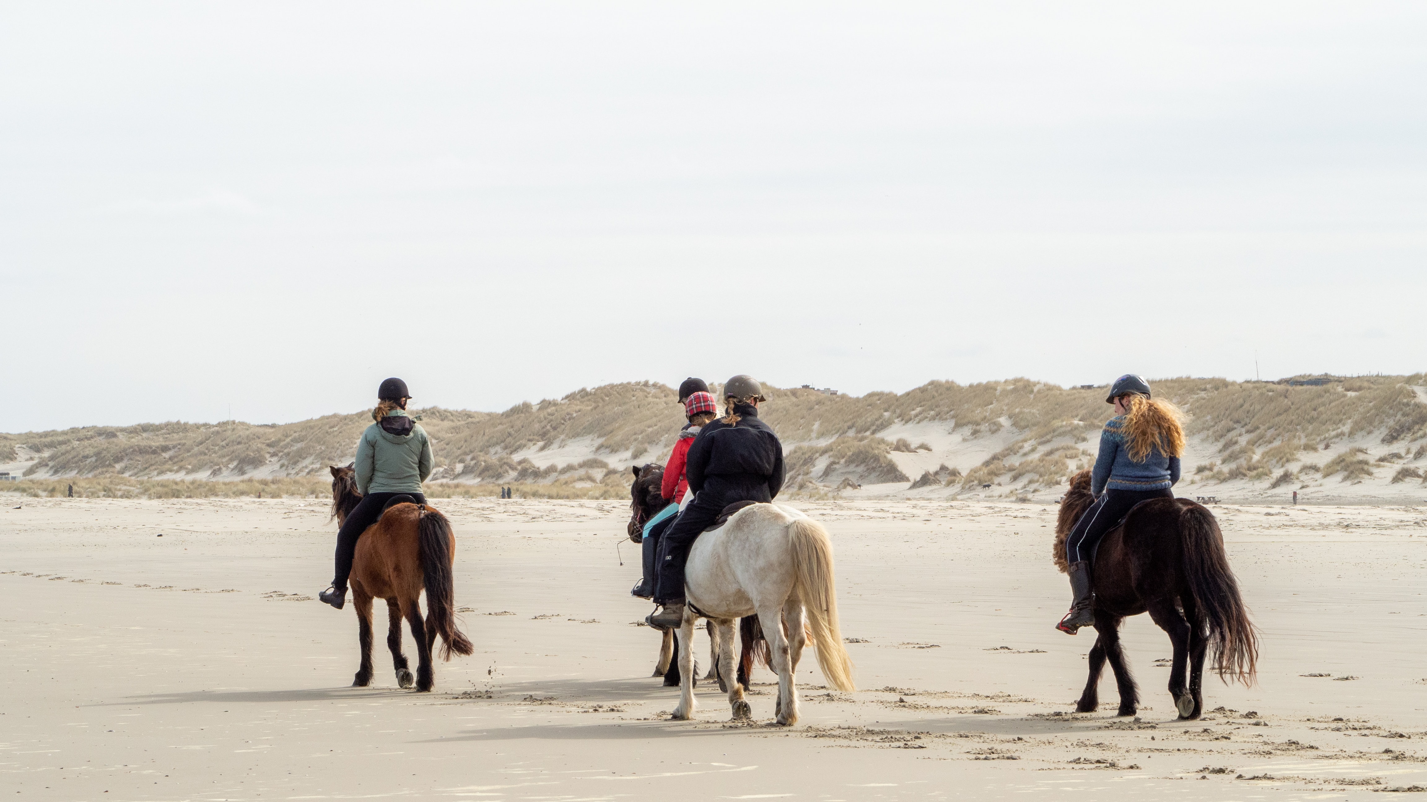 Paard slaat op hol op strand: drie gewonden
