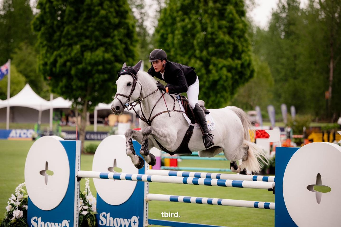 Belgische paarden domineren het podium in Vancouver