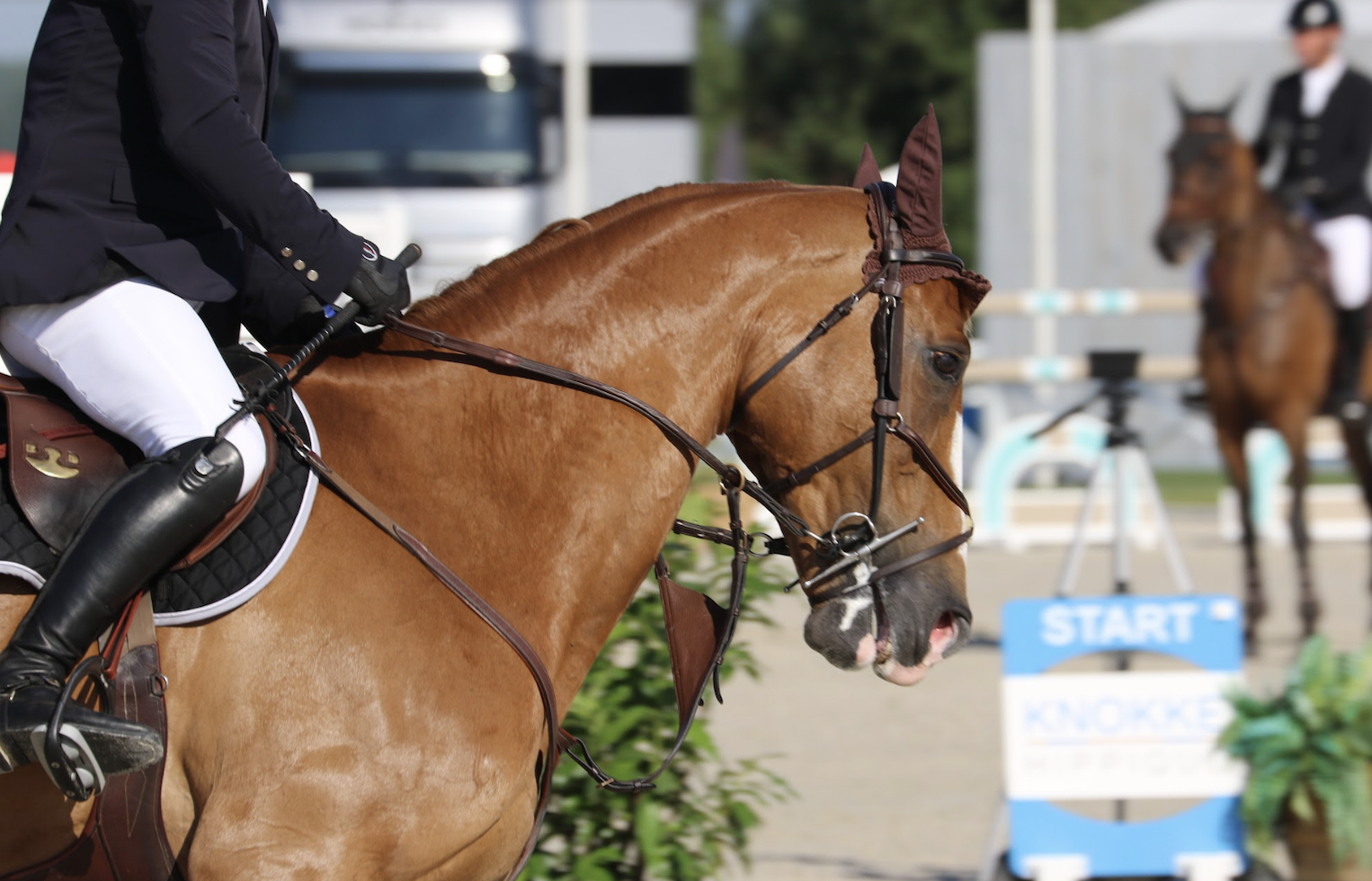 Fatal accident for Wayne Barr at New York horse shows