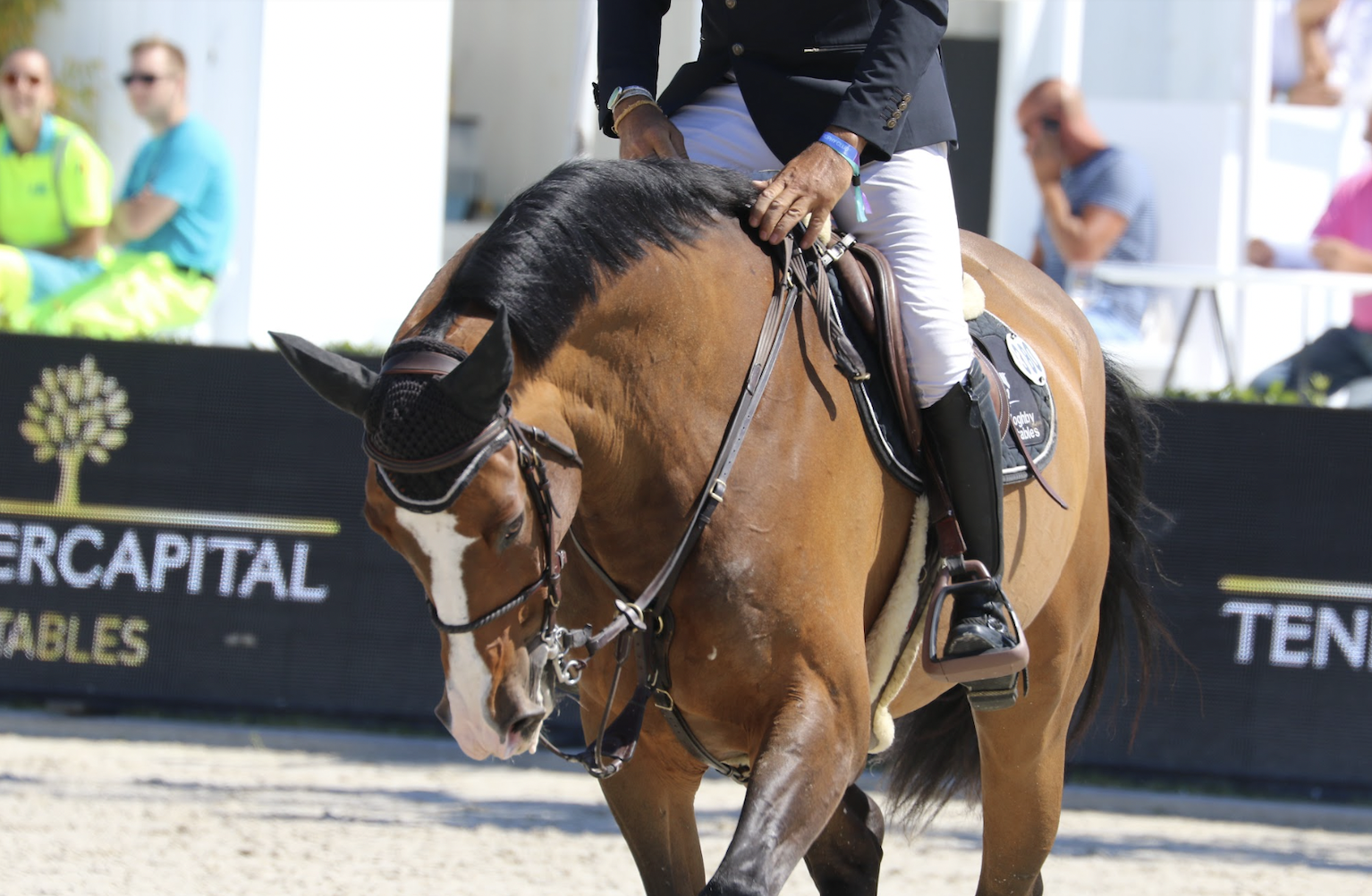 Guido Franchi on top of CSI4* 1.45m LR GP Qualifier of Montefalco