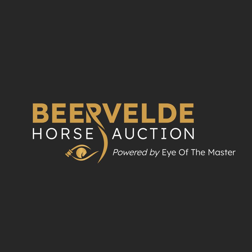 Beervelde Horse Auction wordt kers op de taart van Paardensport week in Beervelde