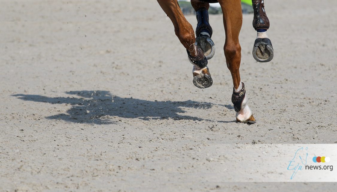 De Saoedi-Arabische Paardensport Federatie blijft investeren met aankoop Ib Ventago