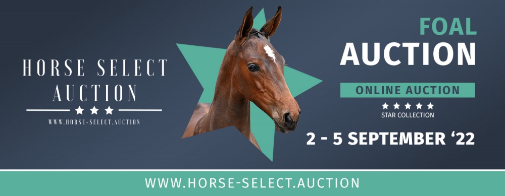 Horse Select Auction: "Koop het sportpaard van de toekomst!"