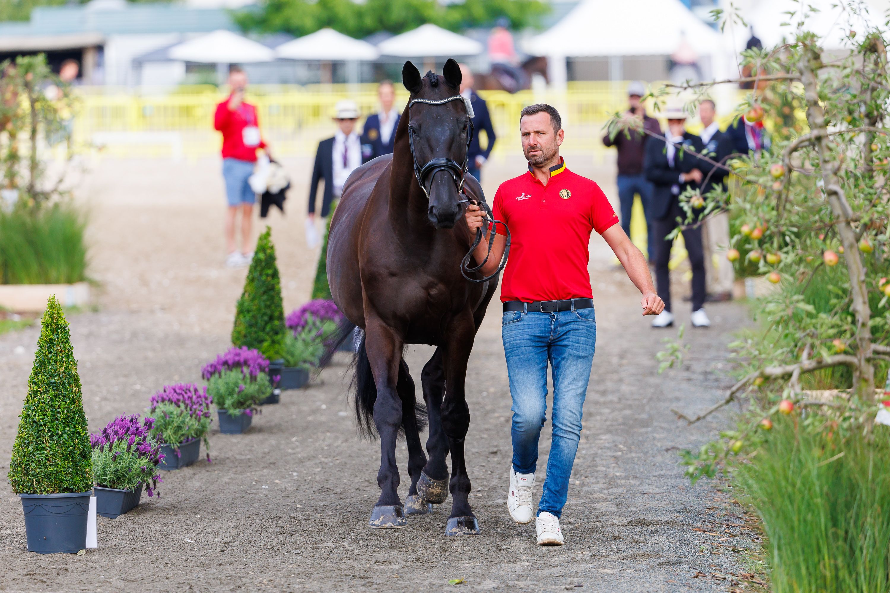 All dressage horses accepted at the ECCO FEI World Championships