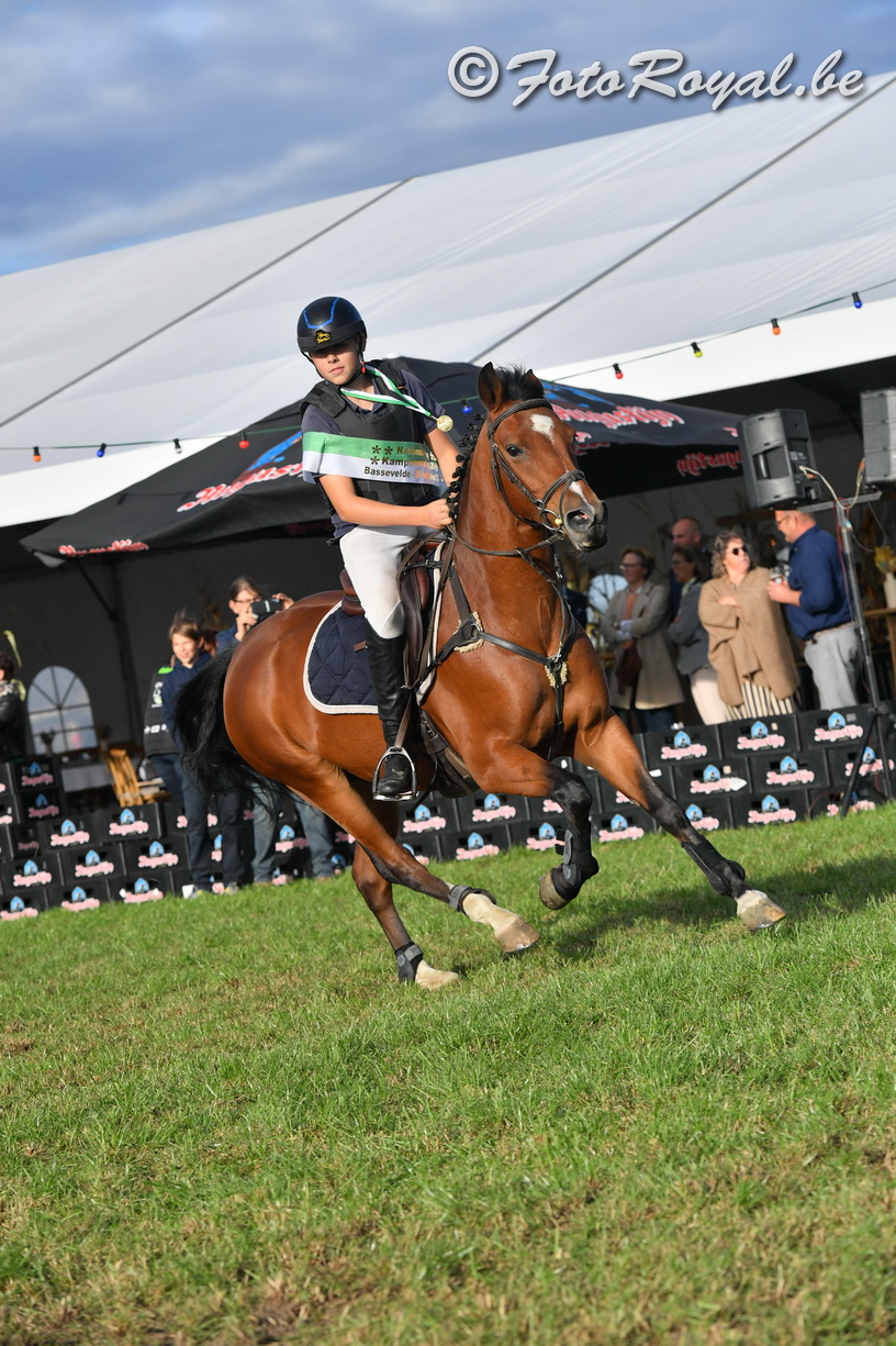 Florian Van Bylen en andere pony kampioenen gehuldigd in Bassevelde
