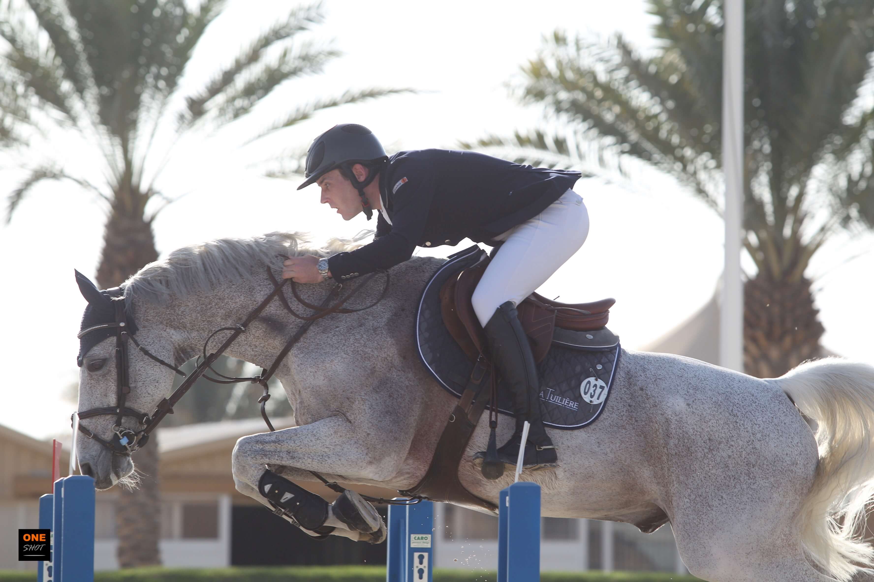 Mark Mcauley and Grs Lady Amaro don't miss a beat in CSI3* 1.50m Ranking class of St Tropez