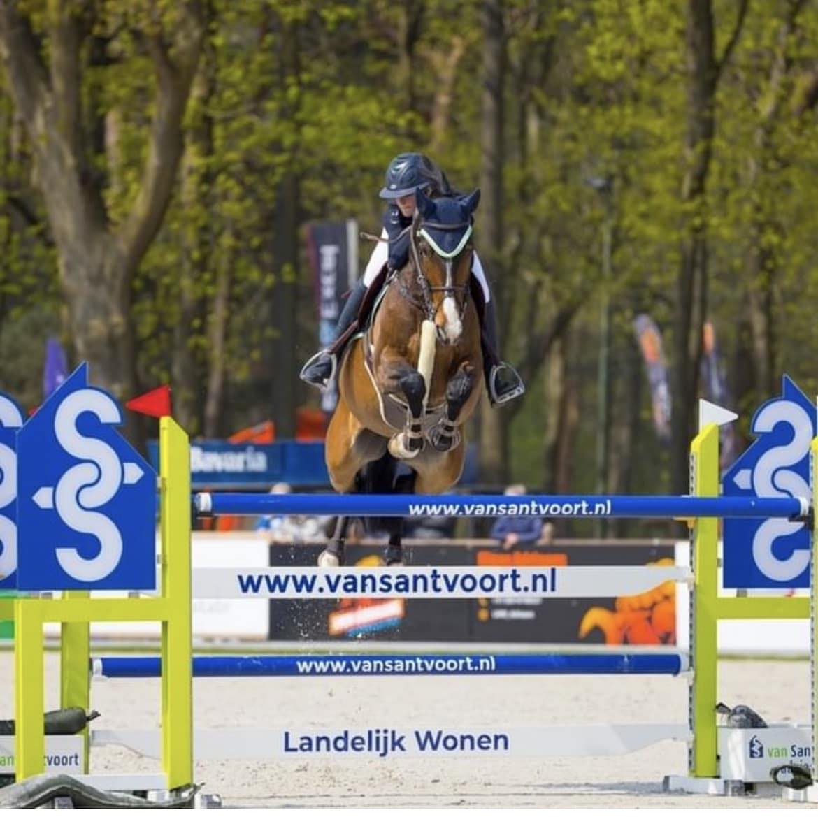 Yoni Van Santvoort zet Nederlandse feest verder bij De Wolden, na tweede Nations Cup plaats pony team