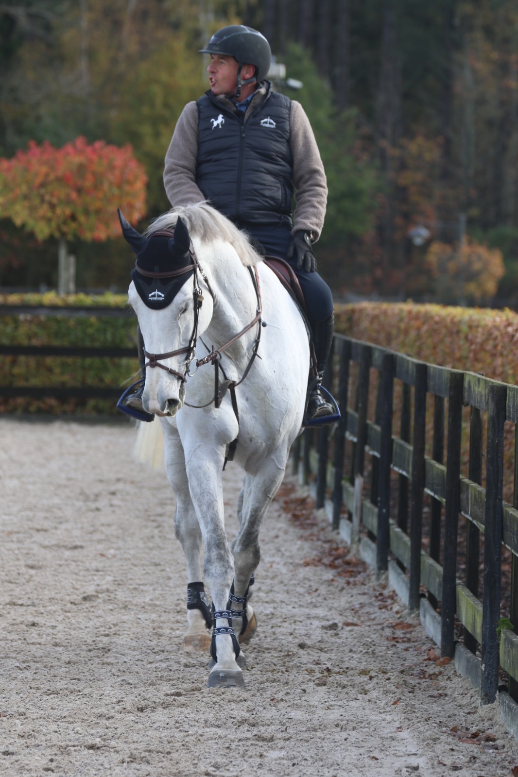 Ludo Philippaerts: "Let your horses go outside a lot, that's the best thing there is ..."