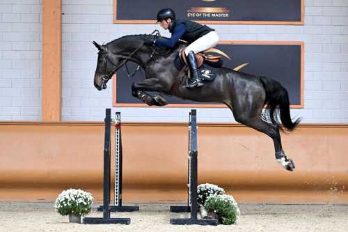 Bid now for your future jumping talent at the Eye of The Master auction!