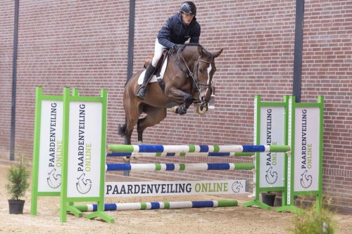 Last chance to secure your talent for the future in 2022 at Paardenveilingonline.com