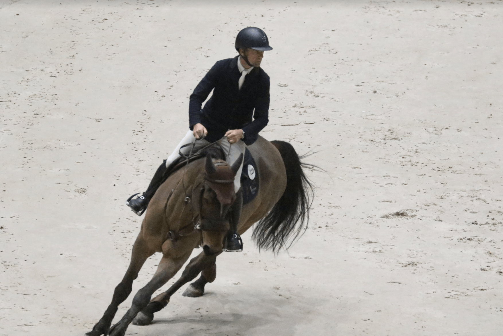 CHI Genève: Gevestigde Belgische waarden met sterke paarden richting Zwitserland