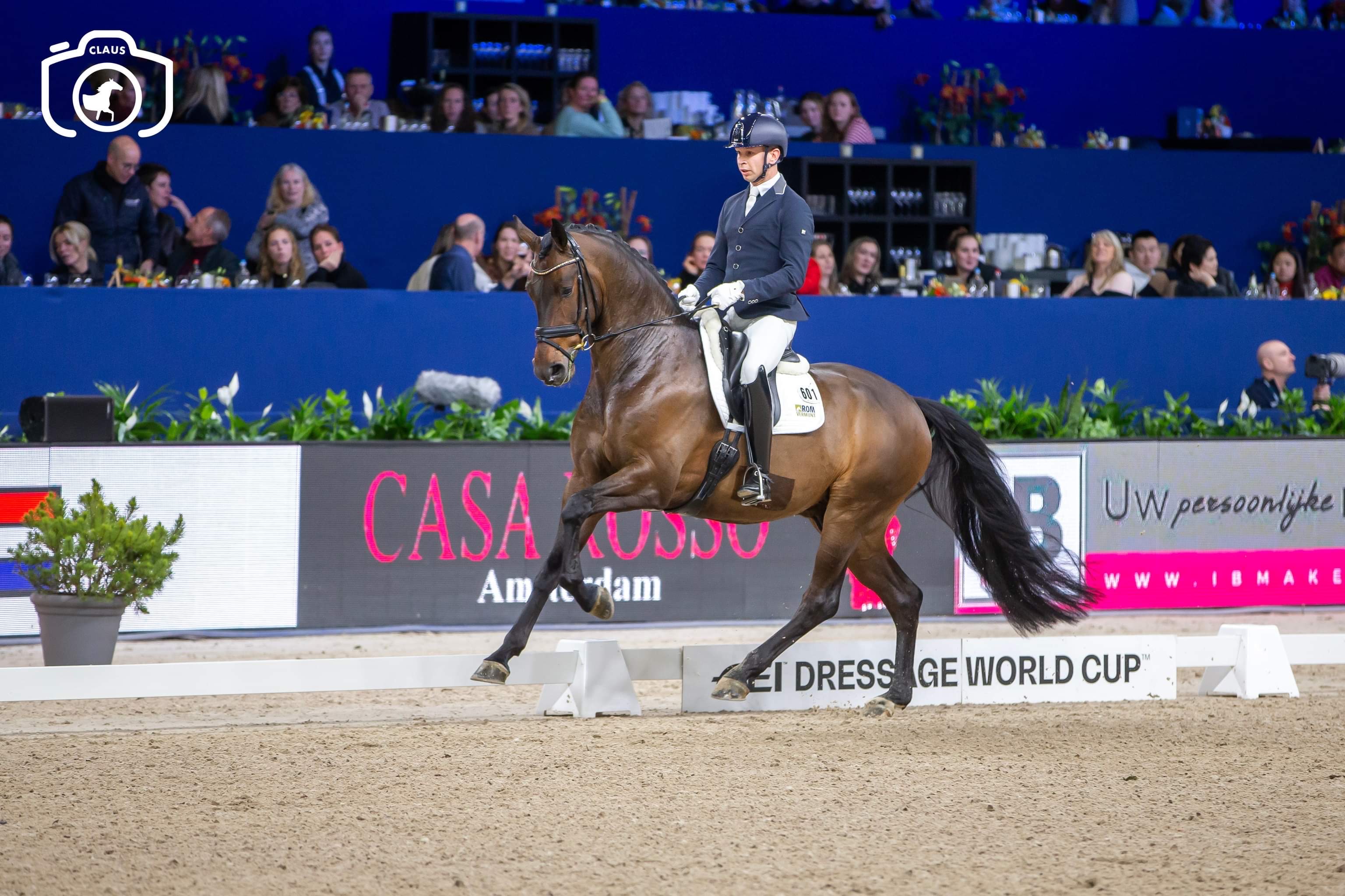 Veeze en Van Silfhout rijden met jonge paarden naar goud op Jumping Amsterdam