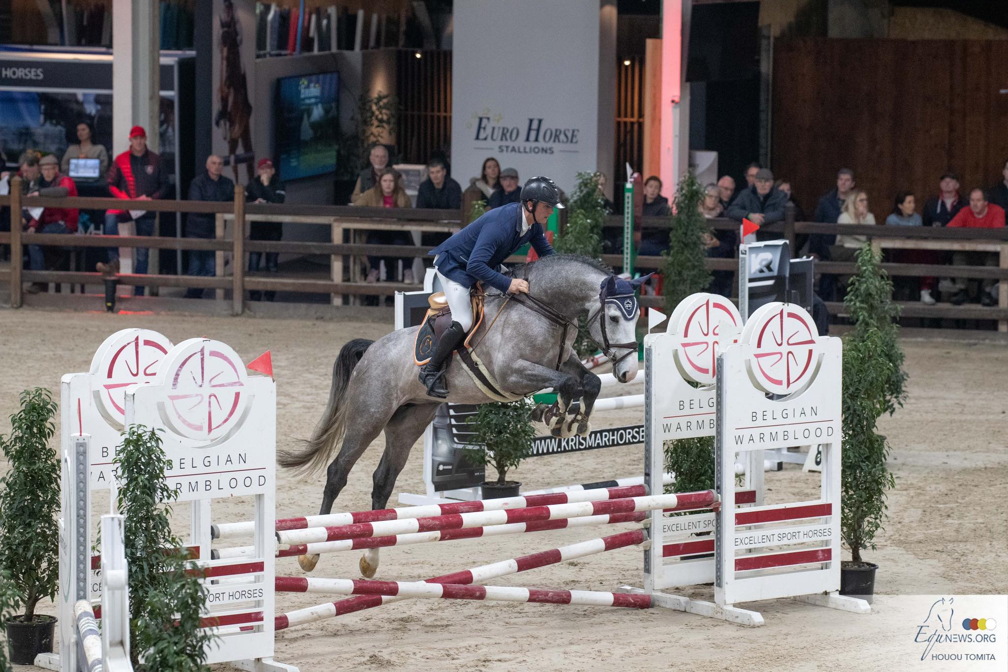 42 foutlozen bij eerste manche vierjarigen Belgian Stallion Competition Lier