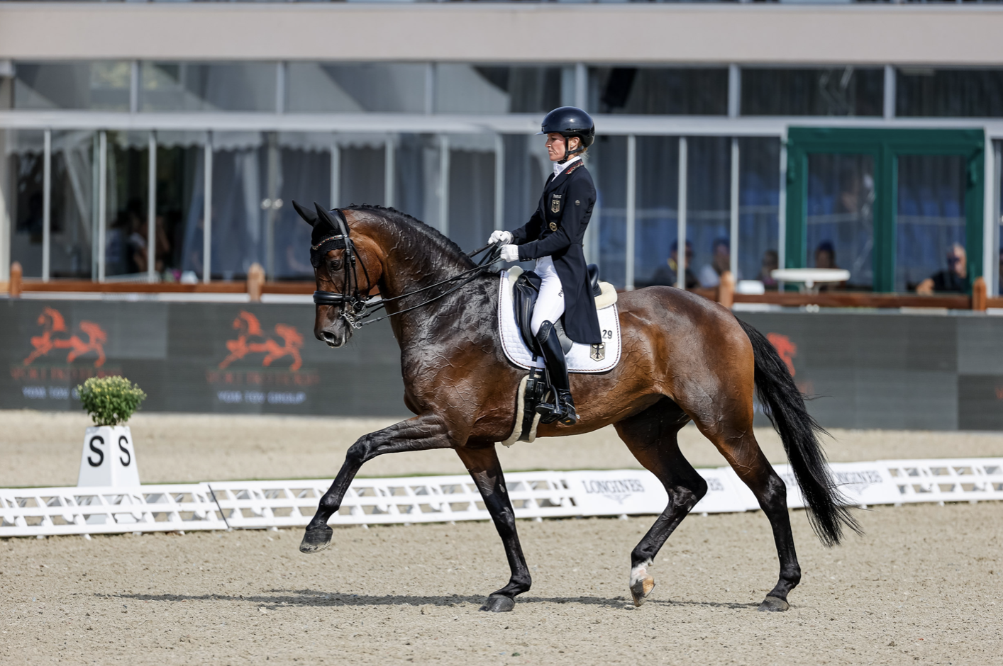 New job for "Mausi": European Team Champion Annabelle becomes broodmare