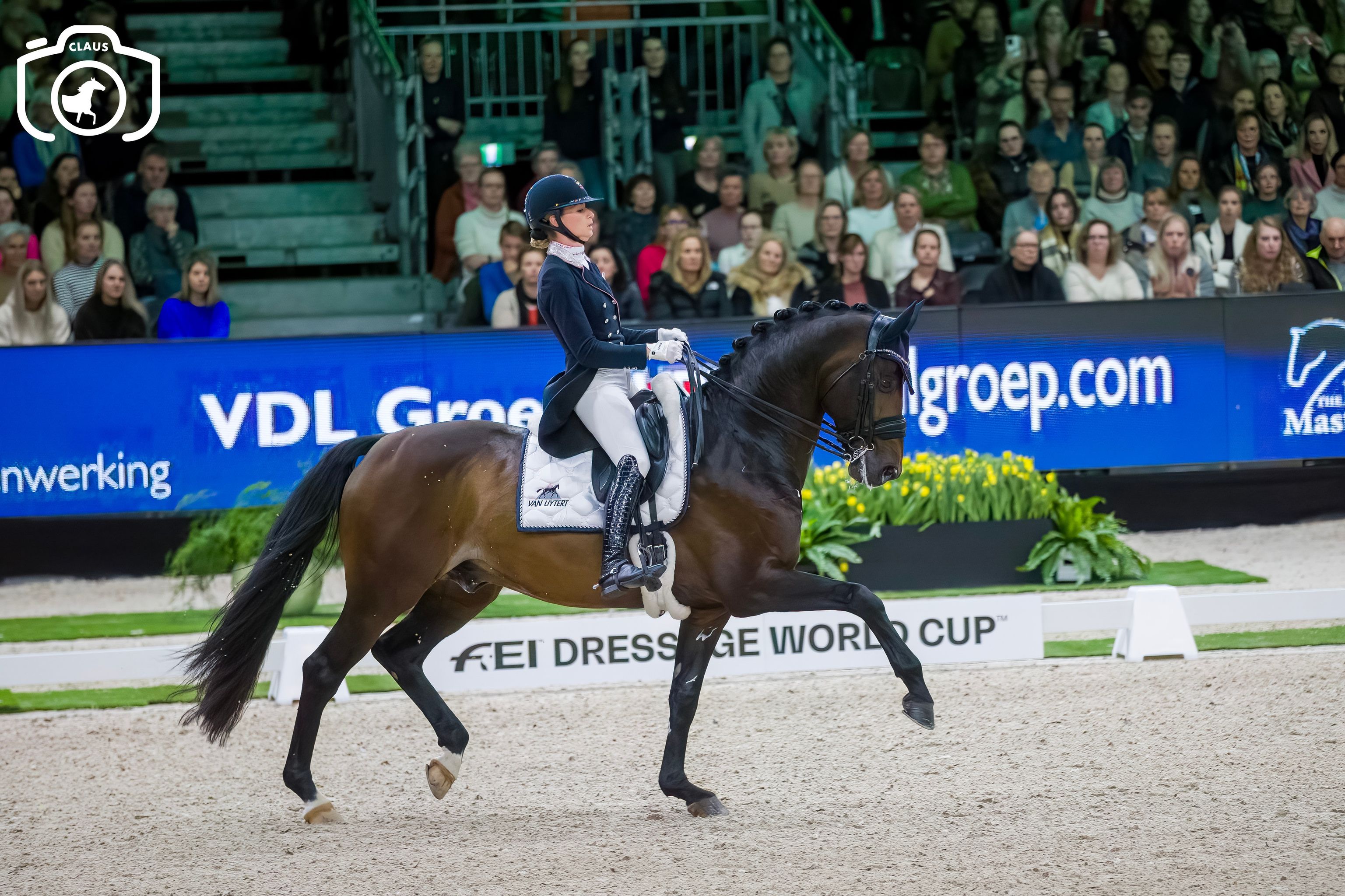 Dinja van Liere: "Ik weet nog niet met welk paard ik naar de finale van de World Cup ga"