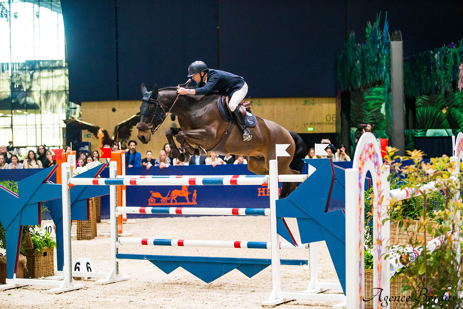 Wilm Vermeir: "Ik kan alleen maar gelukkig zijn dat mijn paard zo gemotiveerd is!"