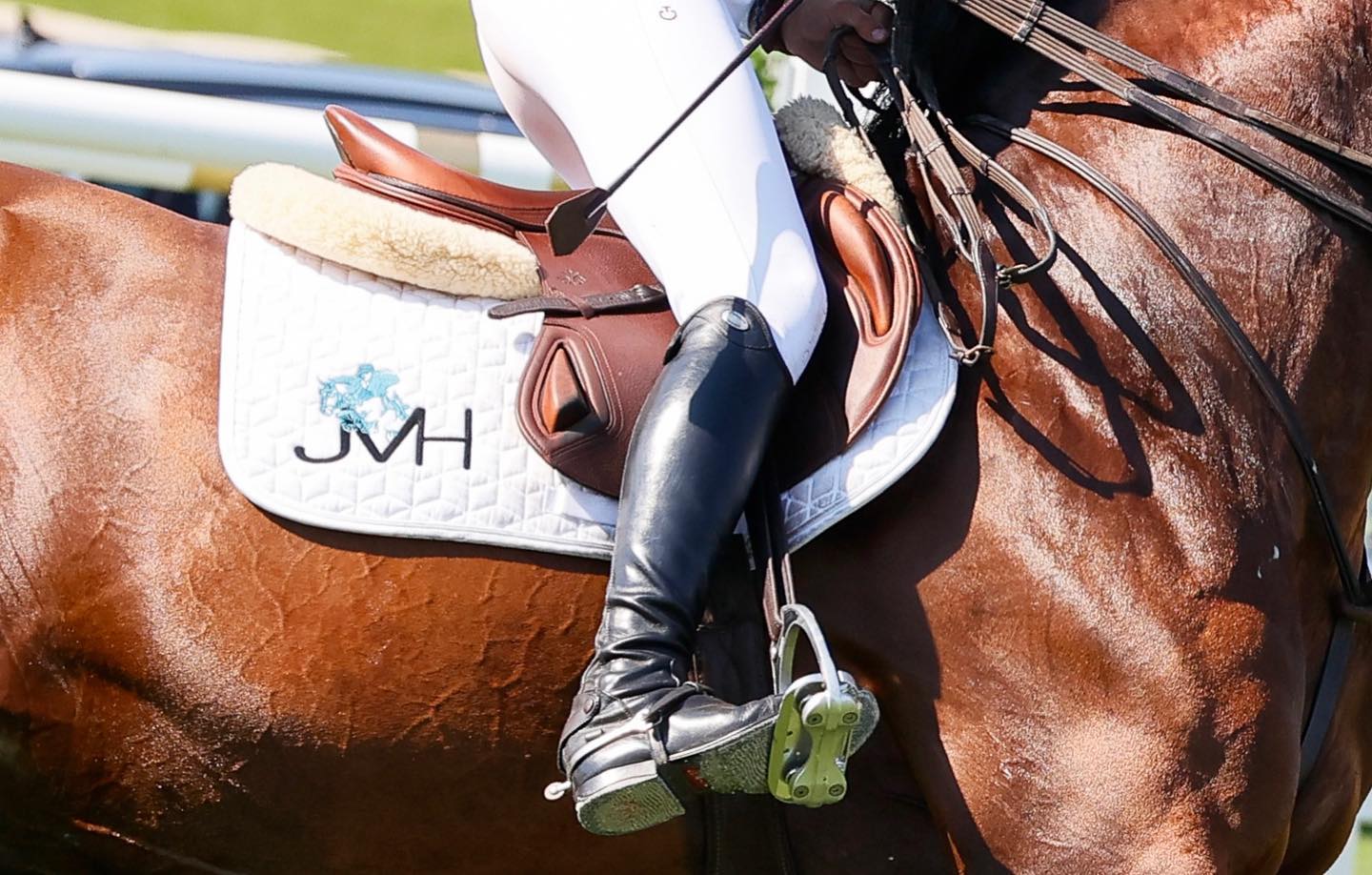 JV Horses maakt zich in juli op voor drie weken topsport in Wuustwezel