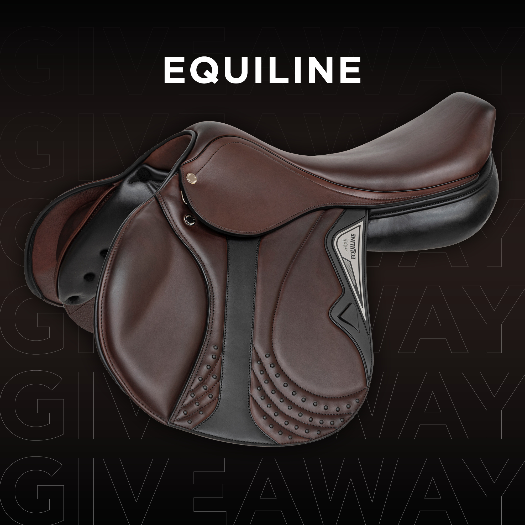 WIN a brand new Equiline Saddle as Equnews+ reader