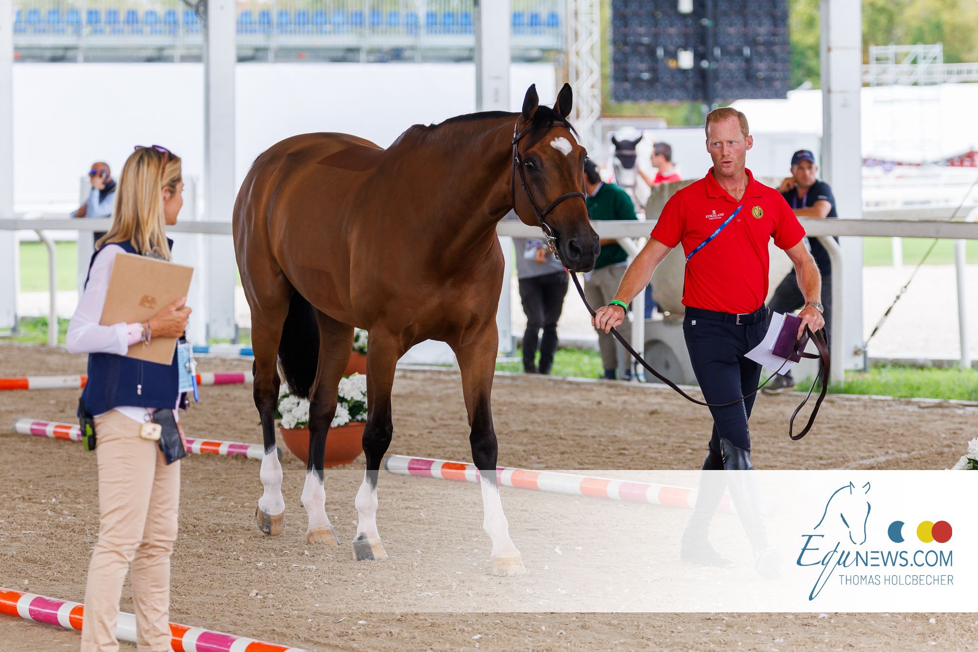 Les chevaux belges passent le contrôle vétérinaire aux Championnats d'Europe de Milan