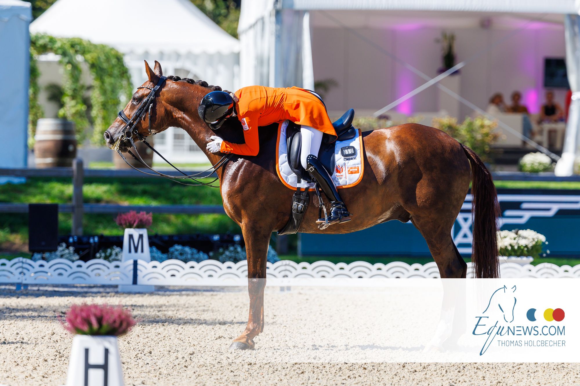 Top Riders Deliver on Second day of Para Dressage in Riesenbeck (GER)