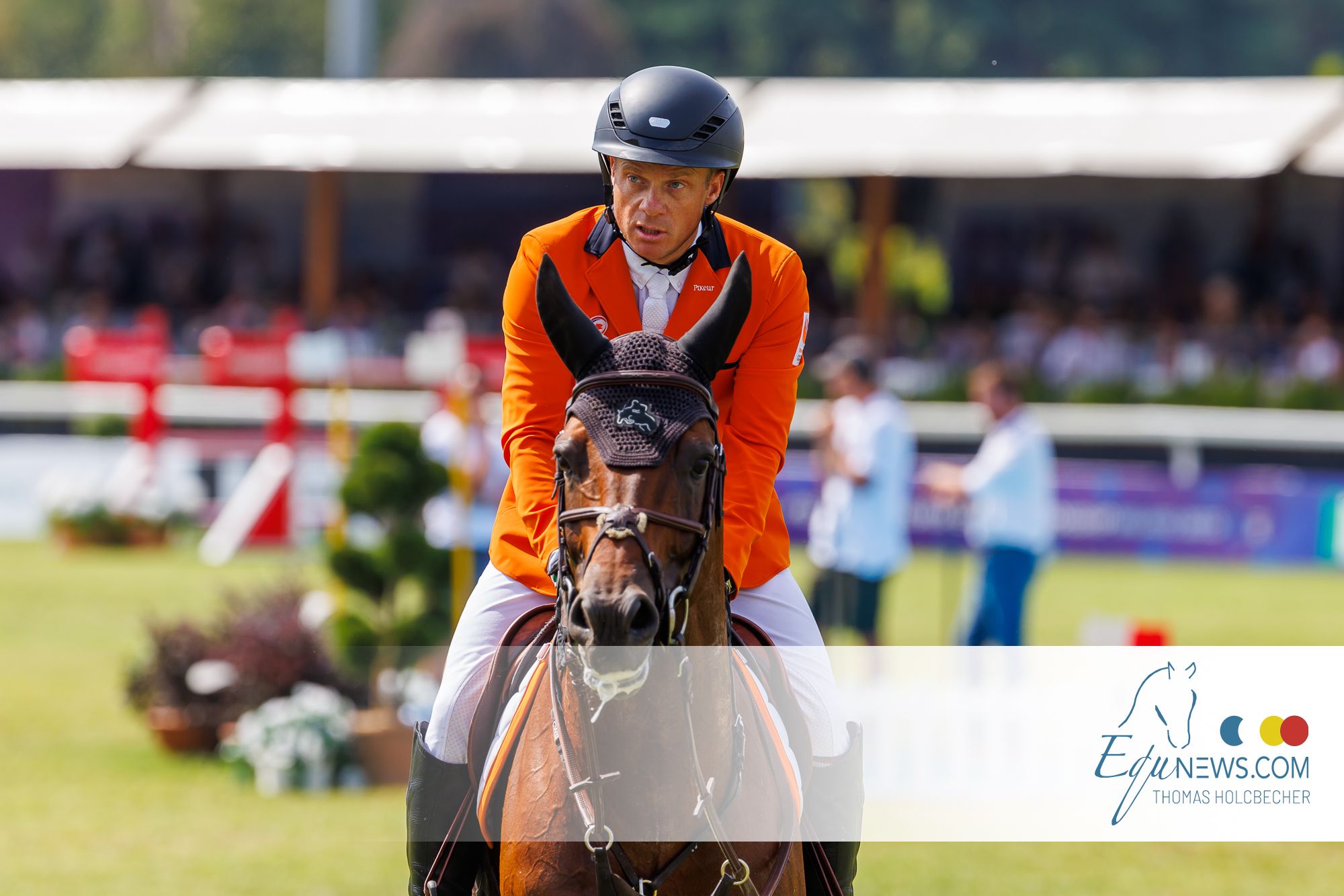 Willem Greve: "Instelling is wat een goed sportpaard definieert!"