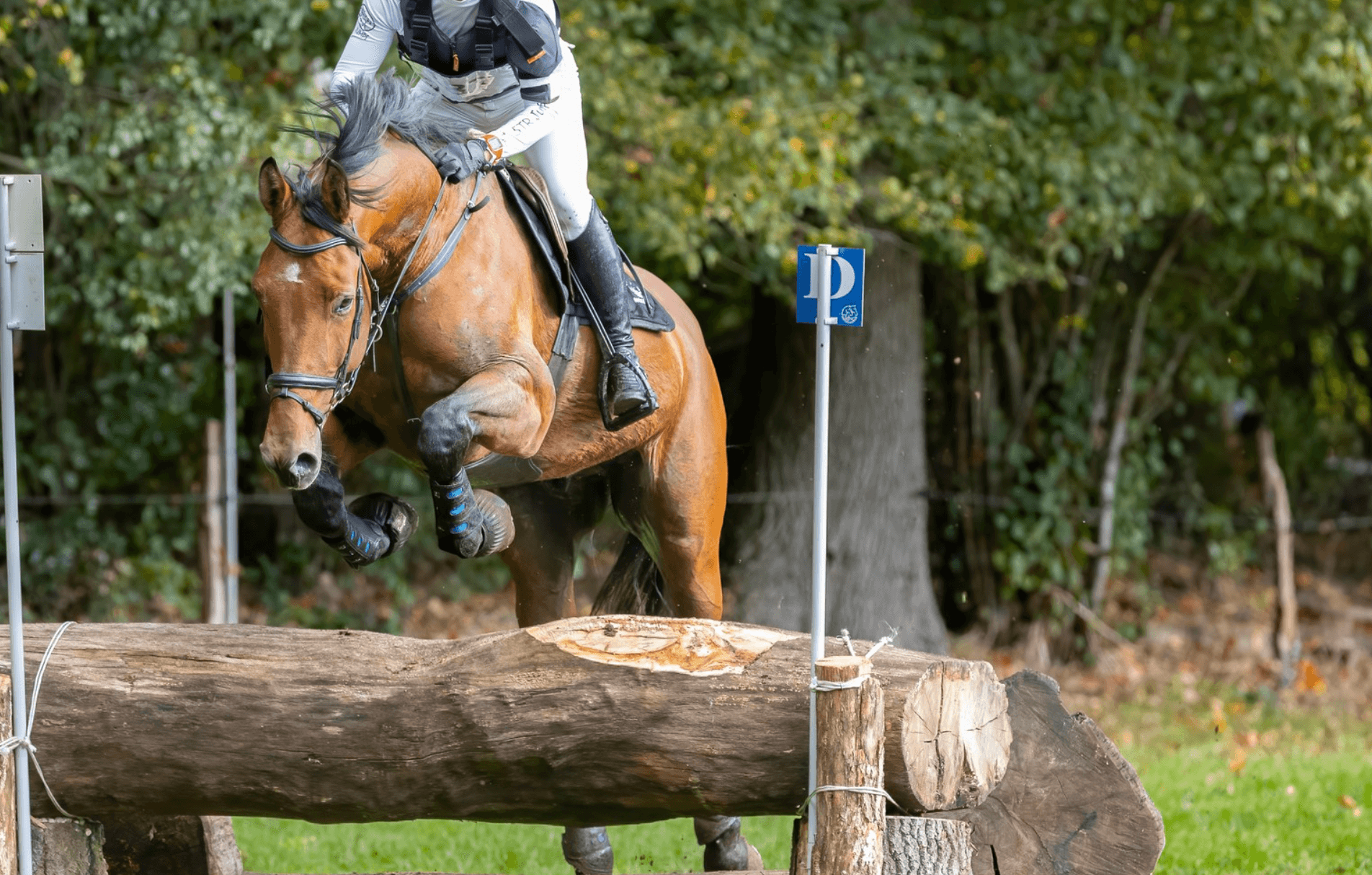 Sterre Leirs zegeviert in Eventing Cup Grobbendonk