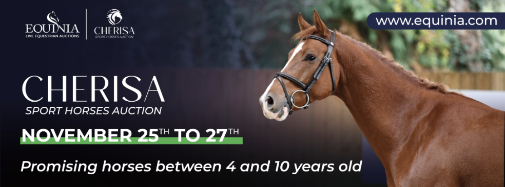 Equinia's Cherisa Sport Horse Auction  – Your dream horse within (online) reach!