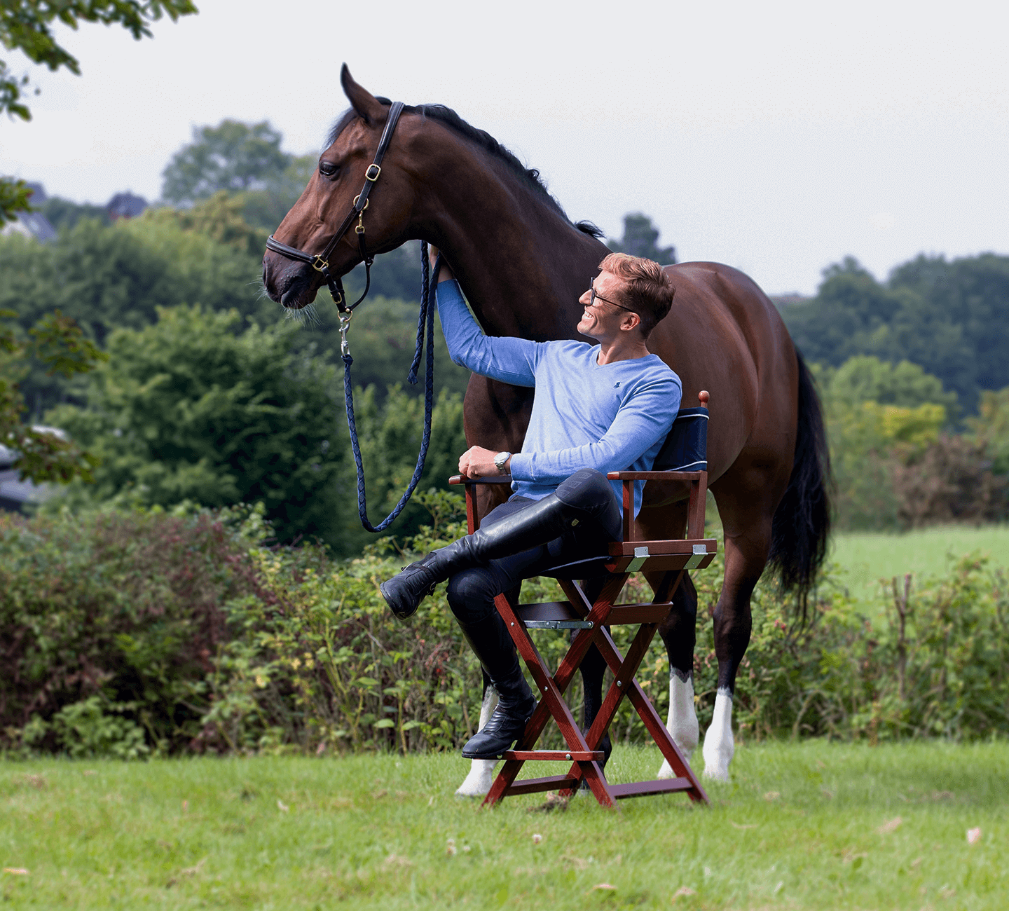 Discover your perfect equine partner with Jens Wawrauschek Horses!