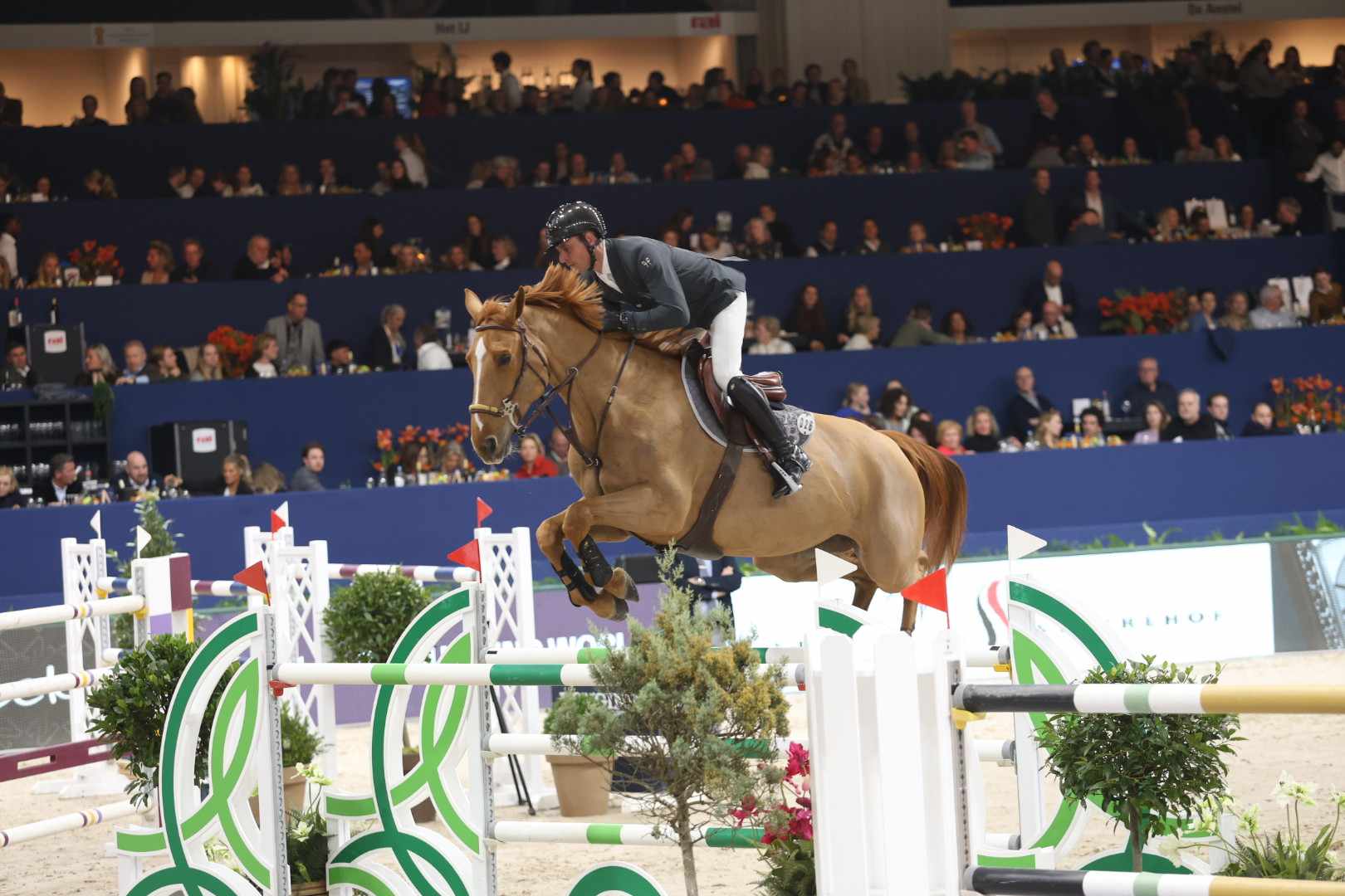 Winner of the Grand Prix Amsterdam, Julien Epaillard: "Winning the World Cup and Grand Prix consecutively can only be done with two super horses."