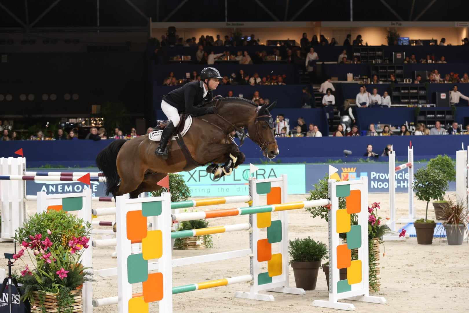 Willem Greve and Mees Vd Watermolen best in Lövsta Future Challenge Young Horses at Gothenburg Horse Show