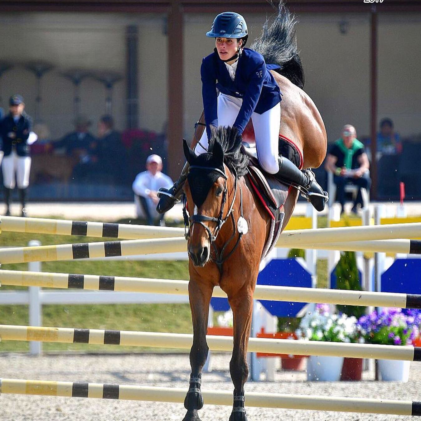 Fanny Skalli's GP-paard, Anthemis du Fresne overleden op 14-jarige leeftijd