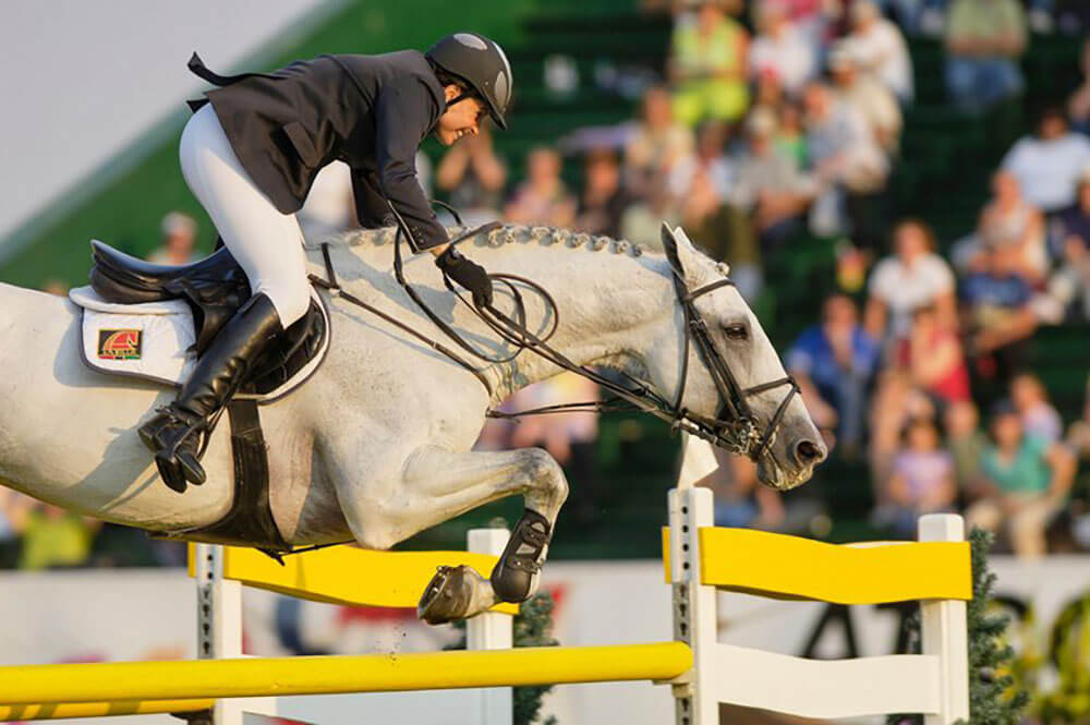Grand Prix-horse, C-Ingmar (31) passed away