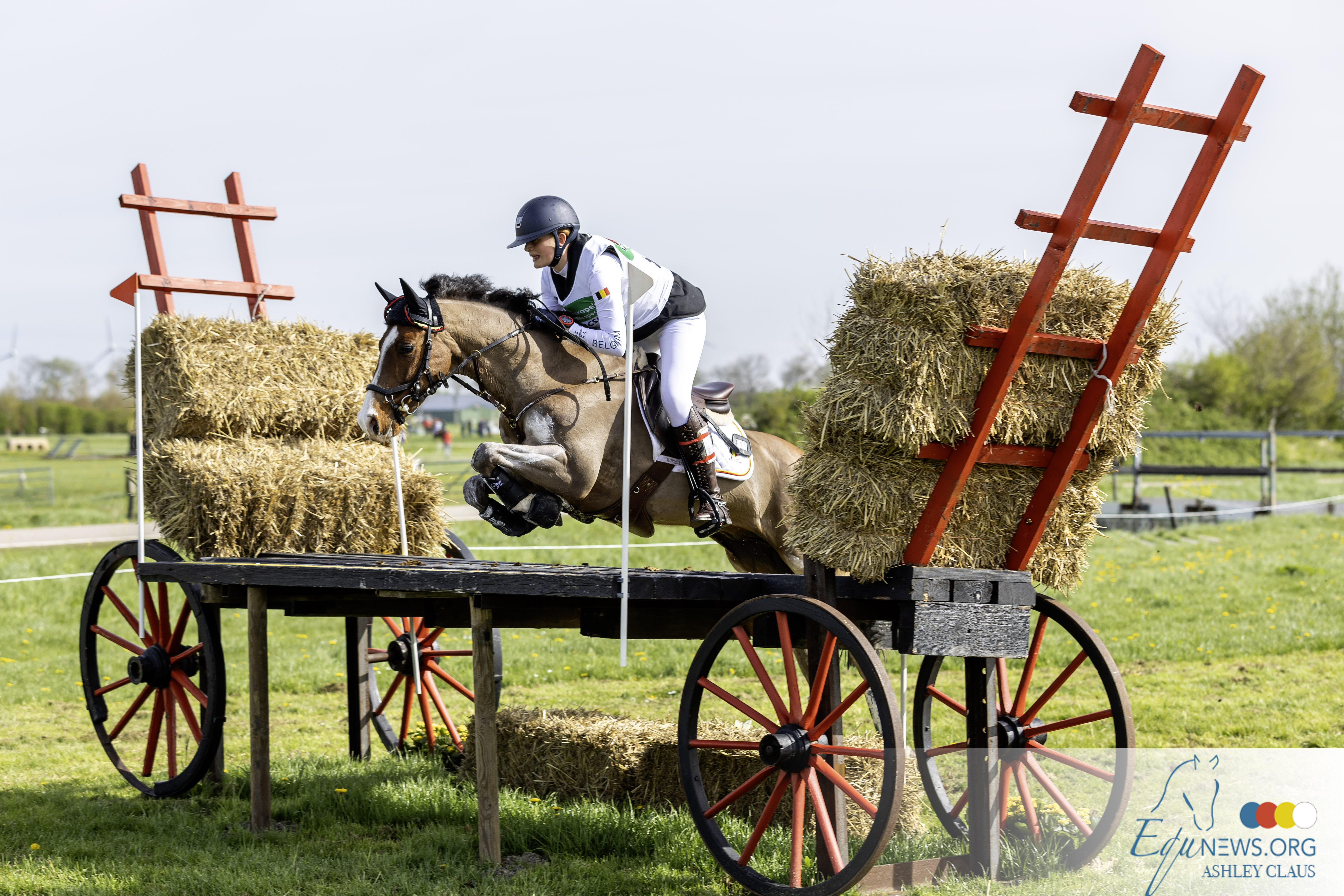 Belgische pony eventers zegevieren in Nations Cup in Oudkarpsel