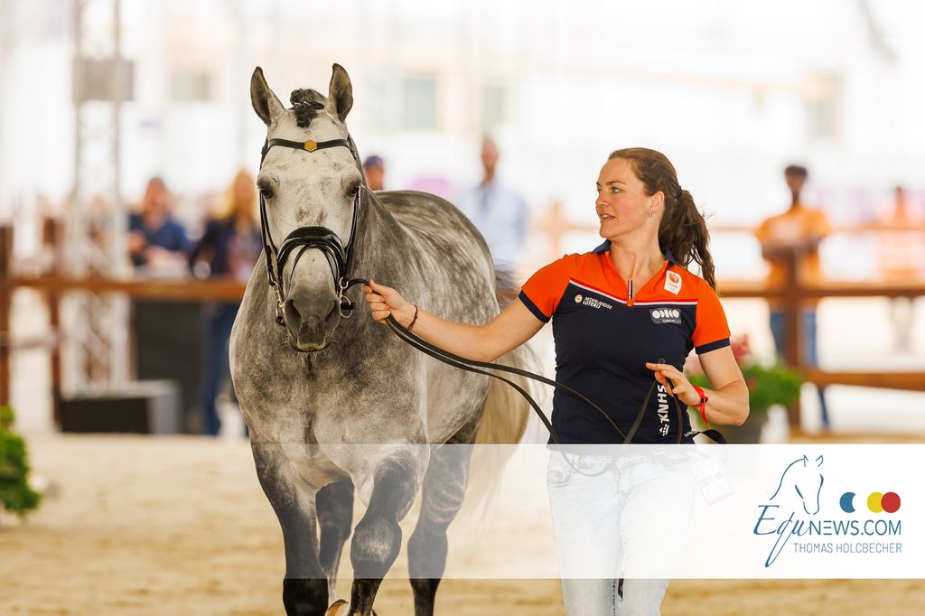 Nederlandse paarden 'fit to compete' in Riyadh!