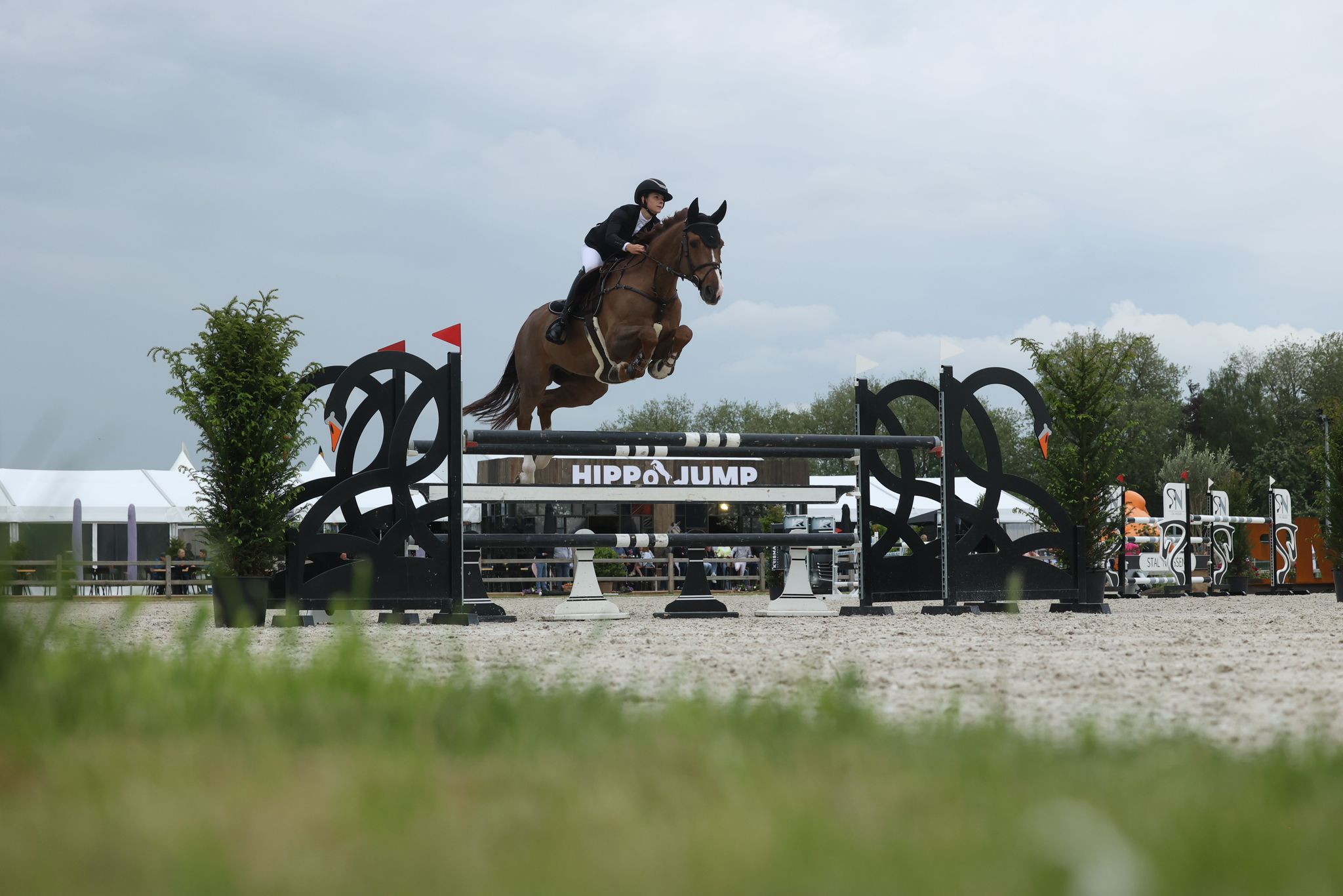 Eerste editie Hippo Jump Waregem weet paardensport te verbazen! "... Met dank aan al onze sponsors, inclusief de zon!"