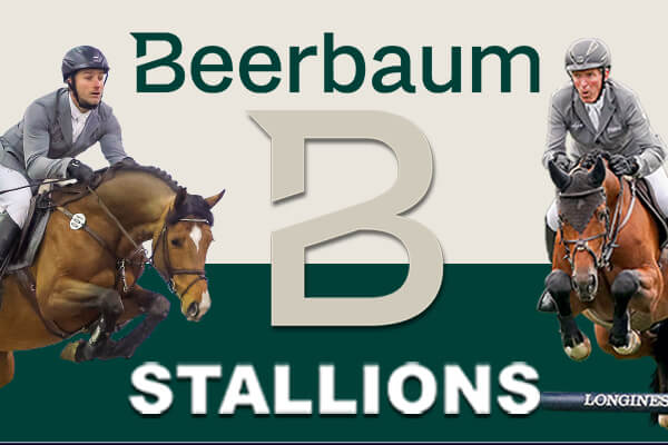 advertise banner