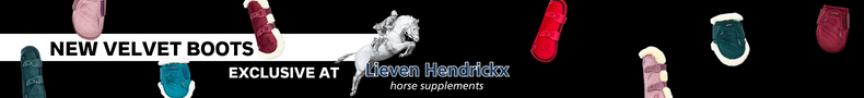 advertise banner