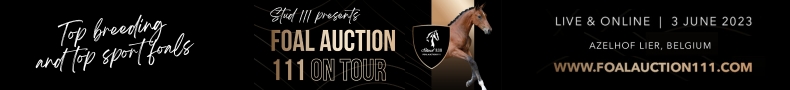 advertise banner