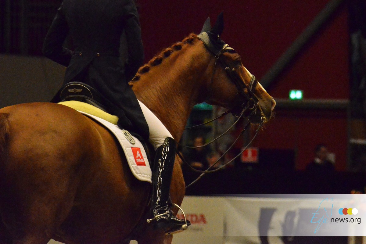 Sweden's selection for the World Championships Young Dressage horses revealed
