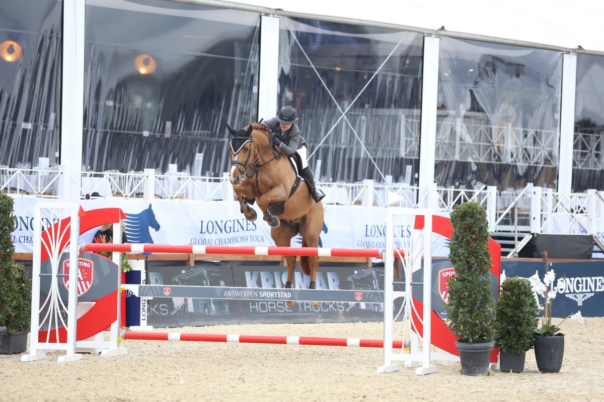 Approved stallion Icarus moves to Jérome Guery