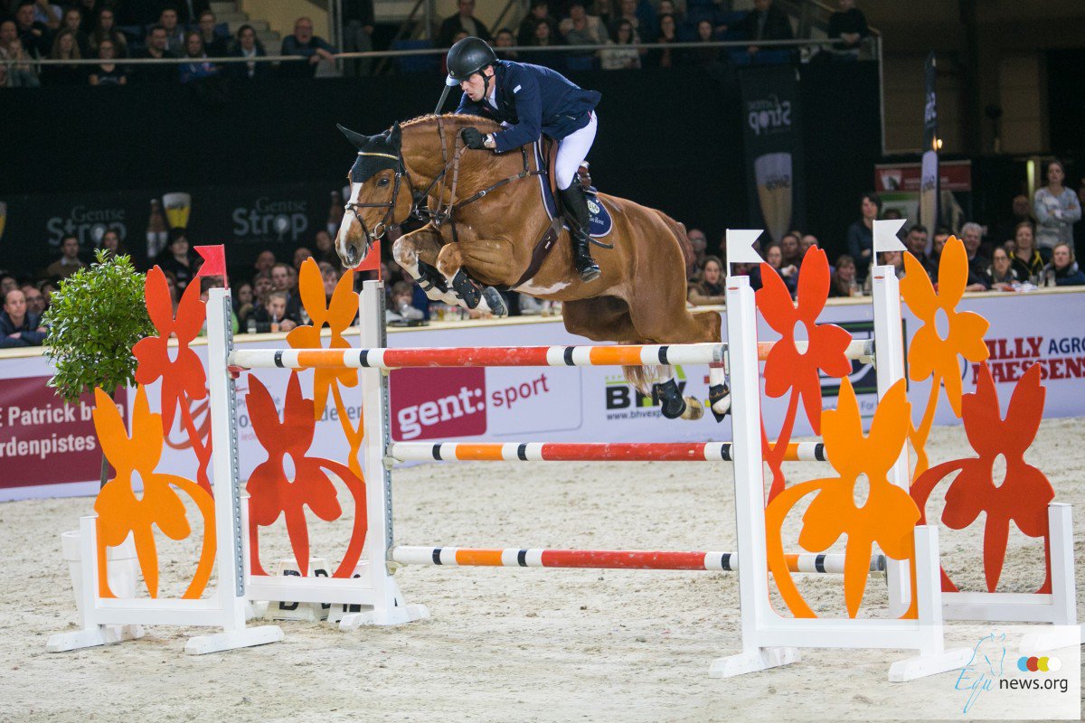 Mennell Watson and Harrie Smolders tie in the HOYS accumulator to take the top spot