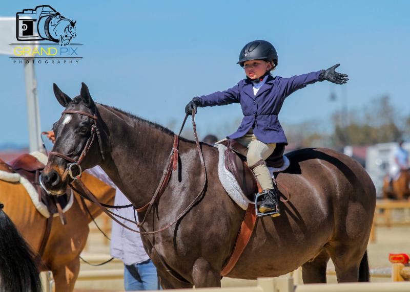 Blue skies at second week of Debut Winter Central California Horse Show Series