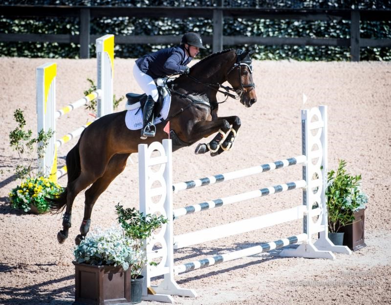 Little and RF Scandalous remain leaders heading into CIC 3* Cross-Country The Fork