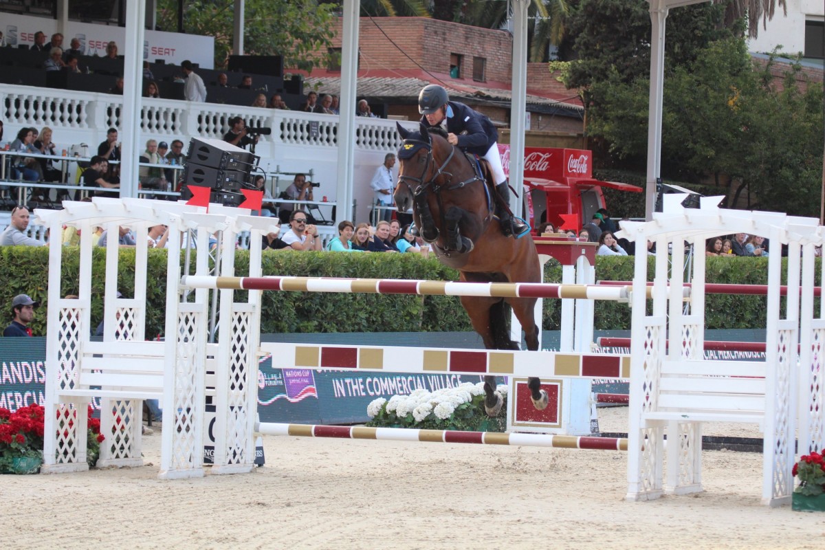 Talented horses get a 'riderswitch'
