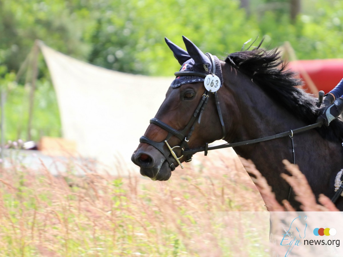 Jacqueline Mars contributes 100,000 USD to develop Virginia Horse Centre