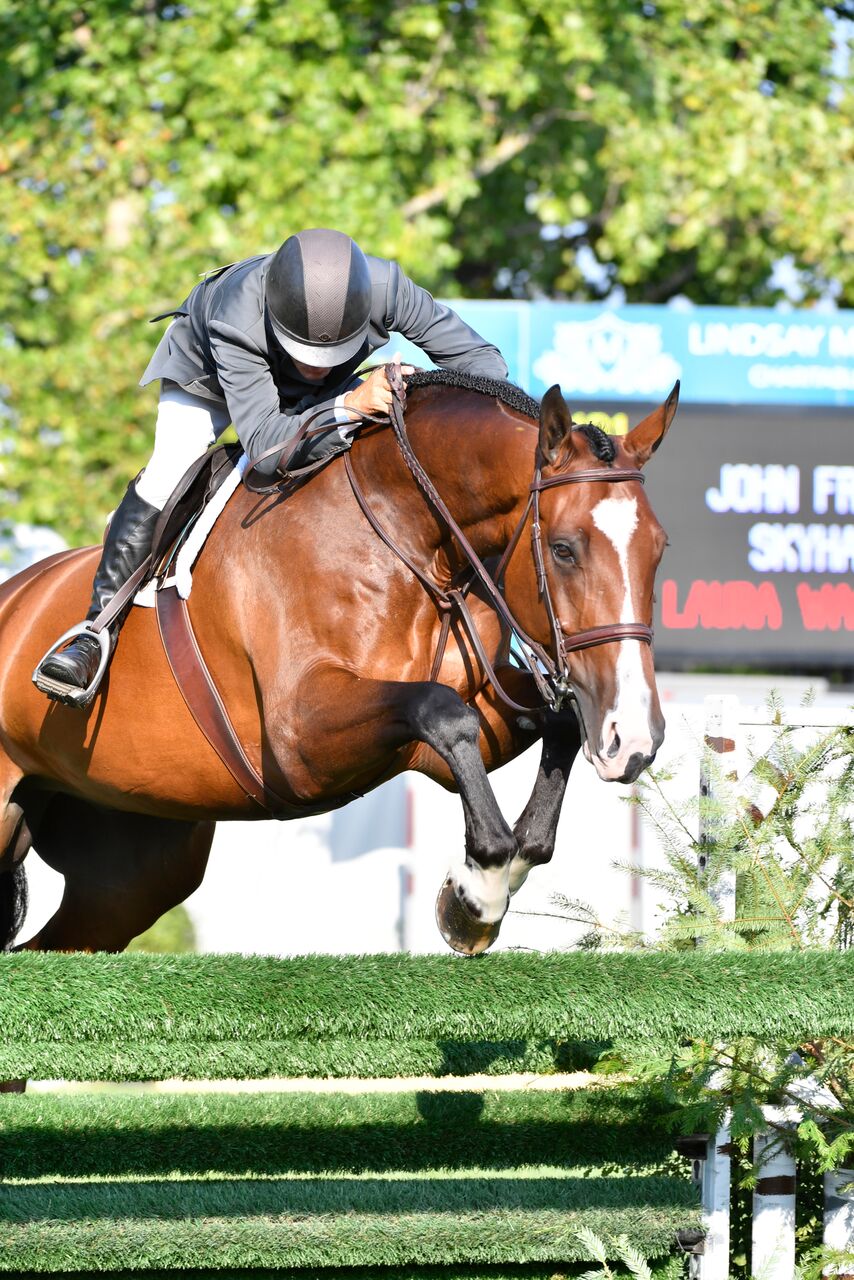 The Sky’s the Limit for John French and Skyhawk in the $25,000 USHJA International Hunter Derby