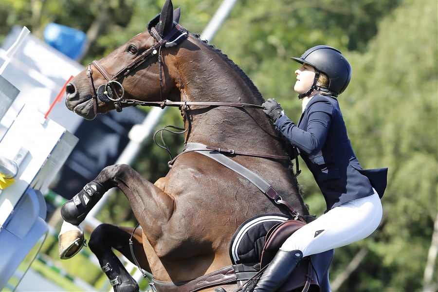 New Grand Prix horse for Emily Moffit